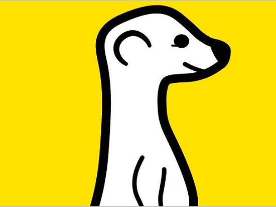 不和你玩了，Twitter封杀直播应用Meerkat