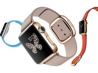 Apple Watch上市后第一季回顾