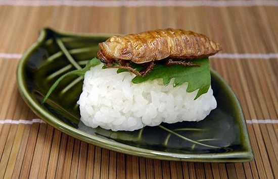 脑洞大开！未来我们可能吃这些当食物