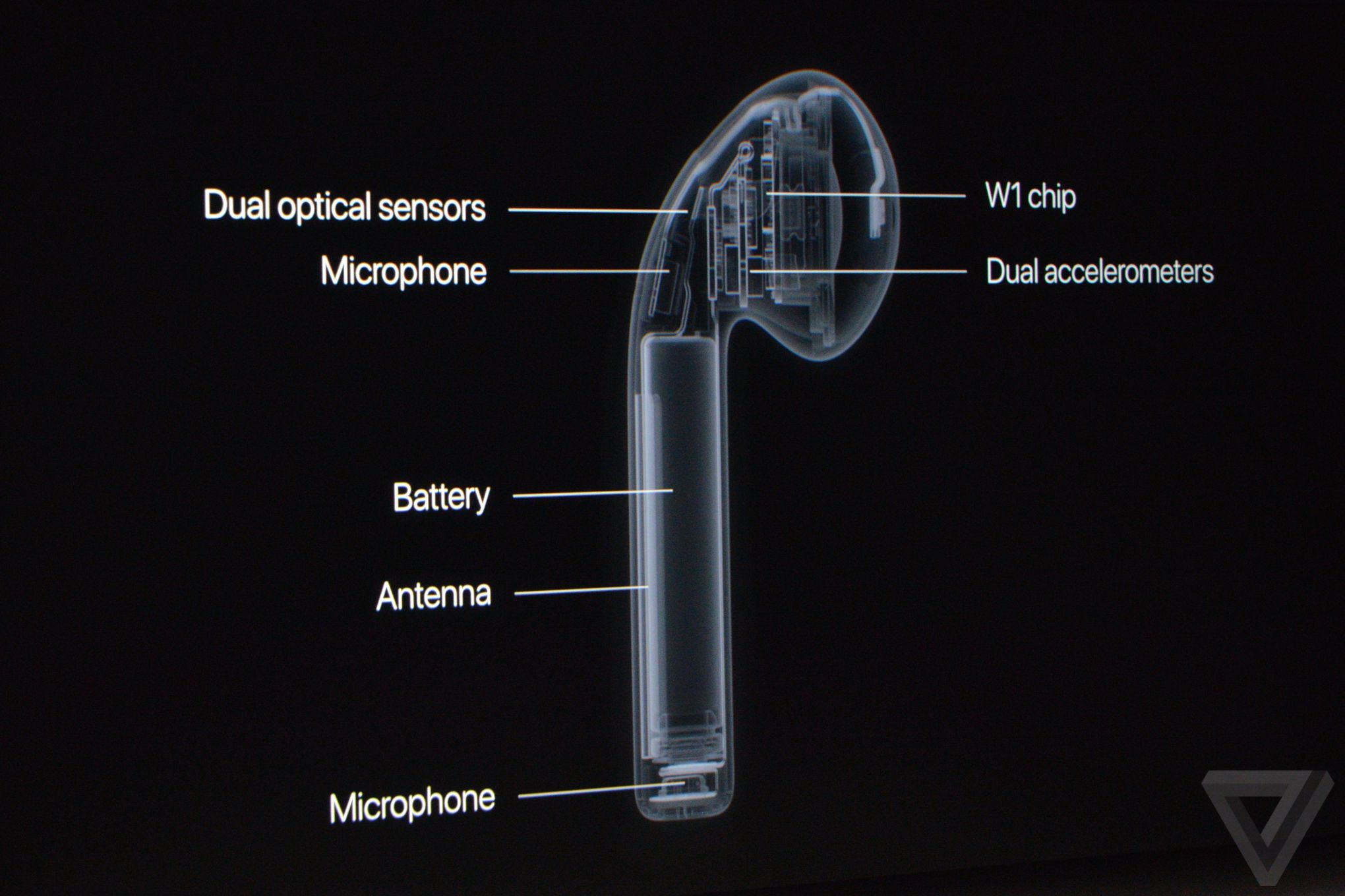 苹果秋季发布会：除了iPhone 7还有表 就是有点“黑”