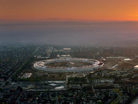 土豪任性！苹果为了Apple Park几乎买光加州绿植