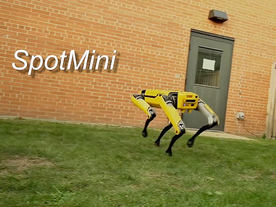  波士顿动力展示新SpotMini机械狗：终于有模有样可以遛了
