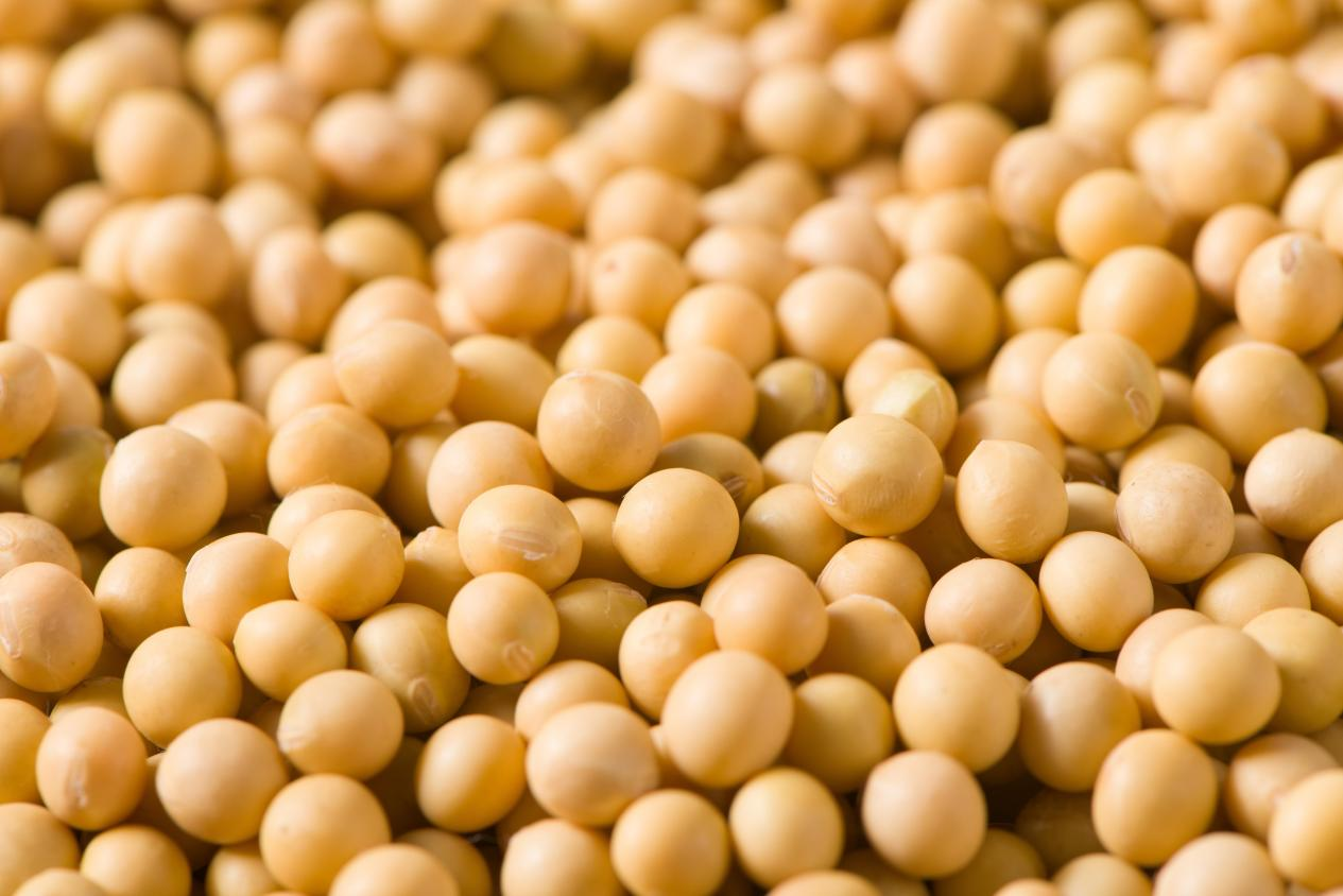 数智联通·广货行天下丨5G+AI酿出“鲜”滋味