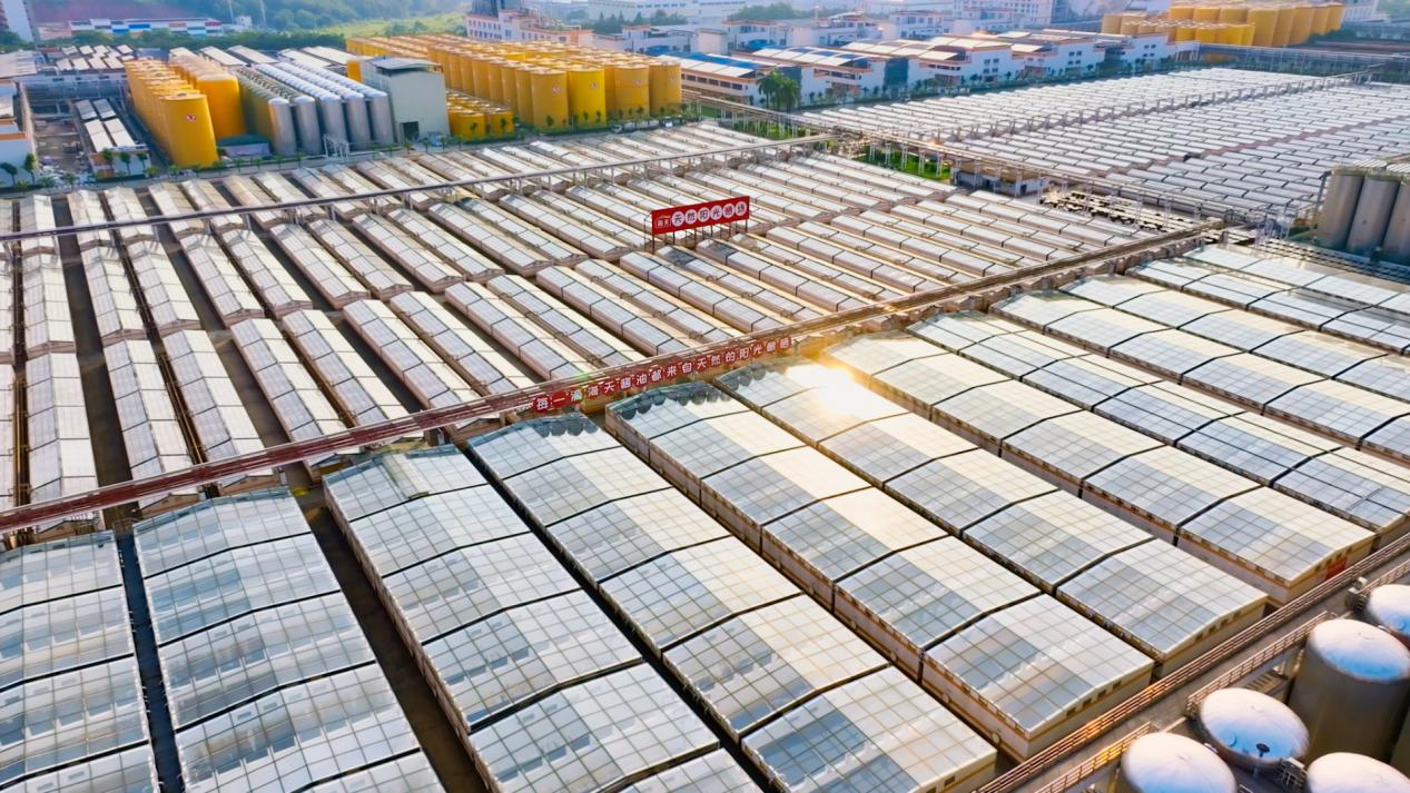 数智联通·广货行天下丨5G+AI酿出“鲜”滋味